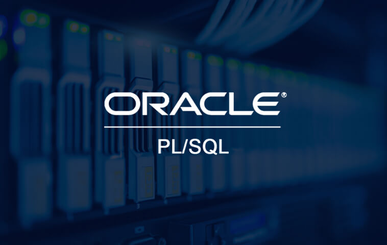 Oracle, SQL y PL/SQL 