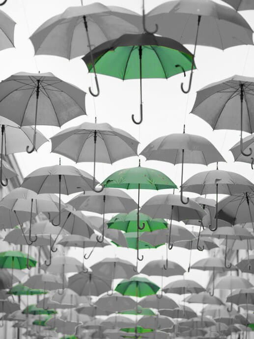 BABEL Insurance Caser. Some umbrellas.